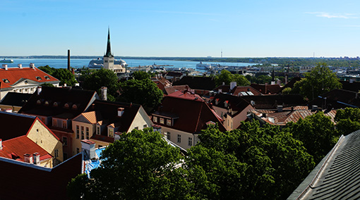 Tallinn Hafen vom Dom